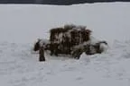 IMG-0112