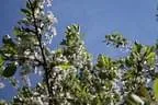 IMG-1202