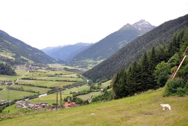 Prosseggklammturnier-264