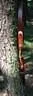 IMG-1639