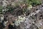 IMG-1663