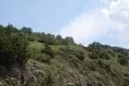 IMG-1689