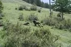 IMG-1695