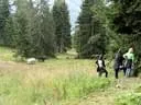 IMG-7491