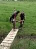 IMG-7496
