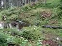 IMG-7499