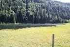 IMG-1778