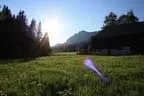 IMG-1781