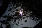 IMG-1785
