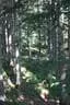 IMG-1790