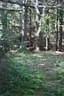 IMG-1793