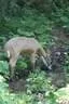 IMG-1799