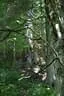 IMG-1802