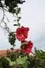 IMG-1824