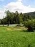 IMG-7556