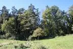 IMG-2027