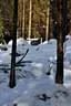 Winterparcours-2011-12-018