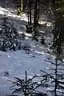 Winterparcours-2011-12-066