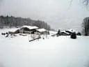 Zipfikoppnturnier-009