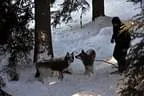 Hollersbachturnier-2.-Tag-061