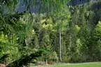 Lienz-100-164