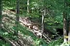 2012-05-19-Wasenmoos-064