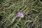 19.-Rauris-059