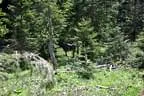 19.-Rauris-089