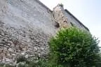 DSC-0206