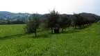 IMAG0031