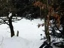 DSCN0551