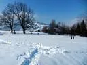 DSCN0709