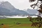 2013-Ranch-43