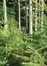 2014-08-10-Haag-12