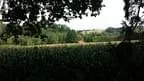 2014-08-10-Haag-14