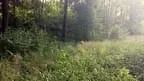 2014-08-10-Haag-25
