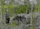 DSCN4083