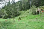 20150919_5erl_glemmerhof_124