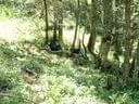 Saalfelden2009-(21)