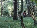 Leithen-2009-(40)