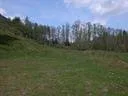 CIMG0011