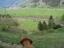 IMG-6533