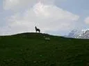 iseltal09-(15)