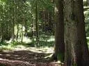 Niedernsill09-(12)