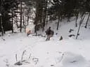 31.01-6
