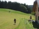 IMG-9006
