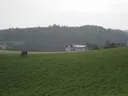 IMG-9083