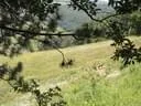 IMG-8946
