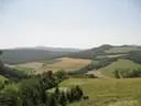 IMG-8947