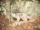 20100808-57